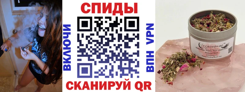 купить  цена  Кашин  Бутират оксана 