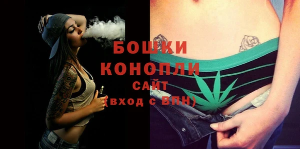 стаф Верея