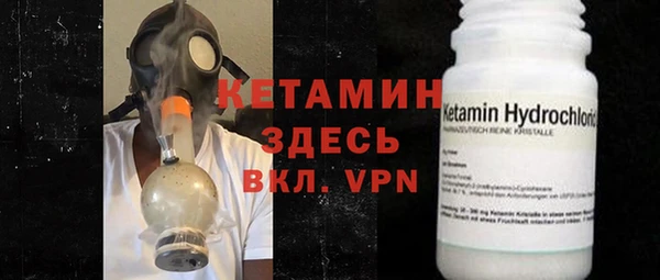 стаф Верея