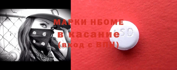 стаф Верея
