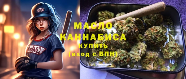ECSTASY Бородино