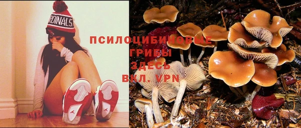 бошки Верхний Тагил