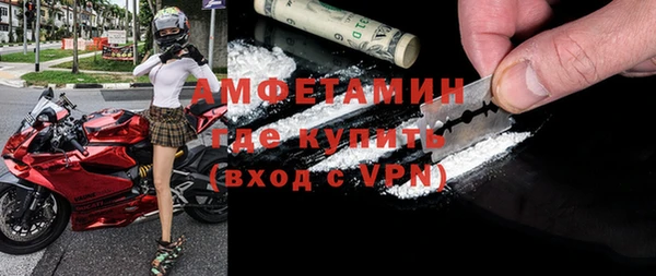 стаф Верея
