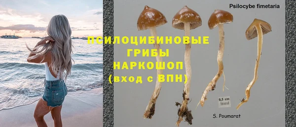 бошки Верхний Тагил