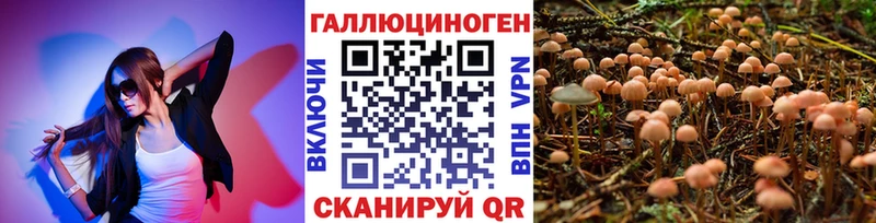 Галлюциногенные грибы мицелий  Кашин 